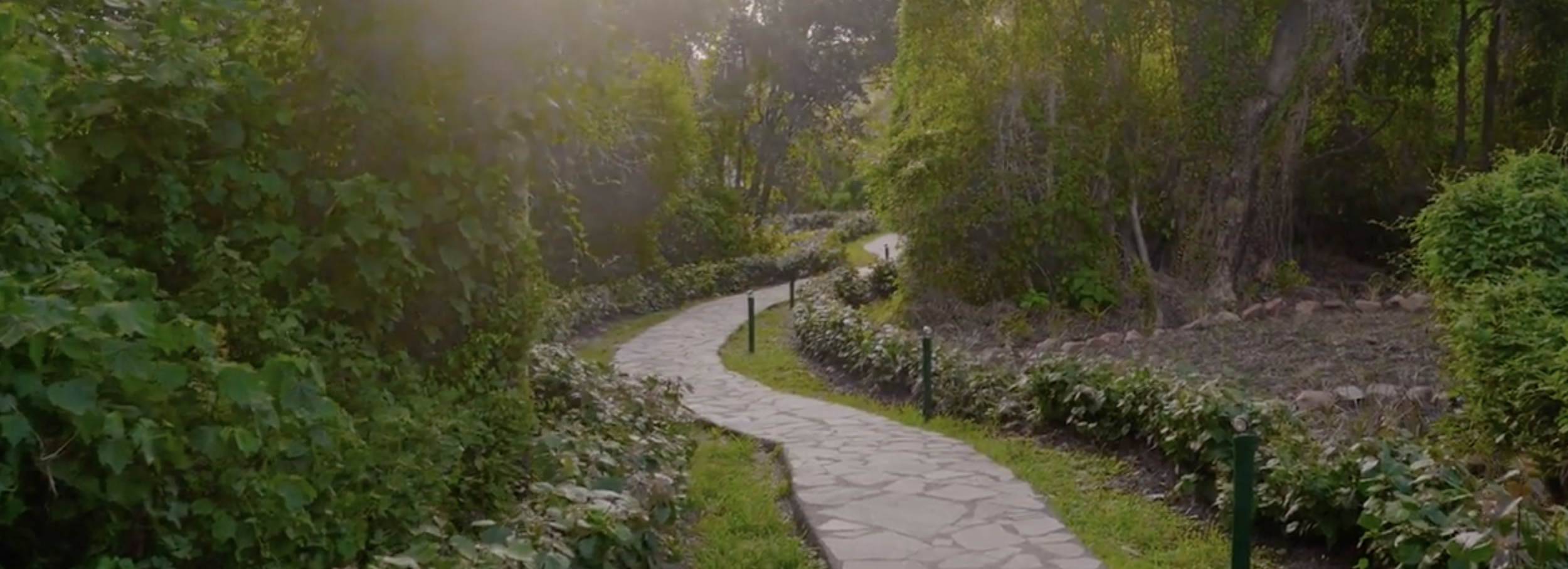 Screenshot 2026-01-08 at 9.35.13 AM.png