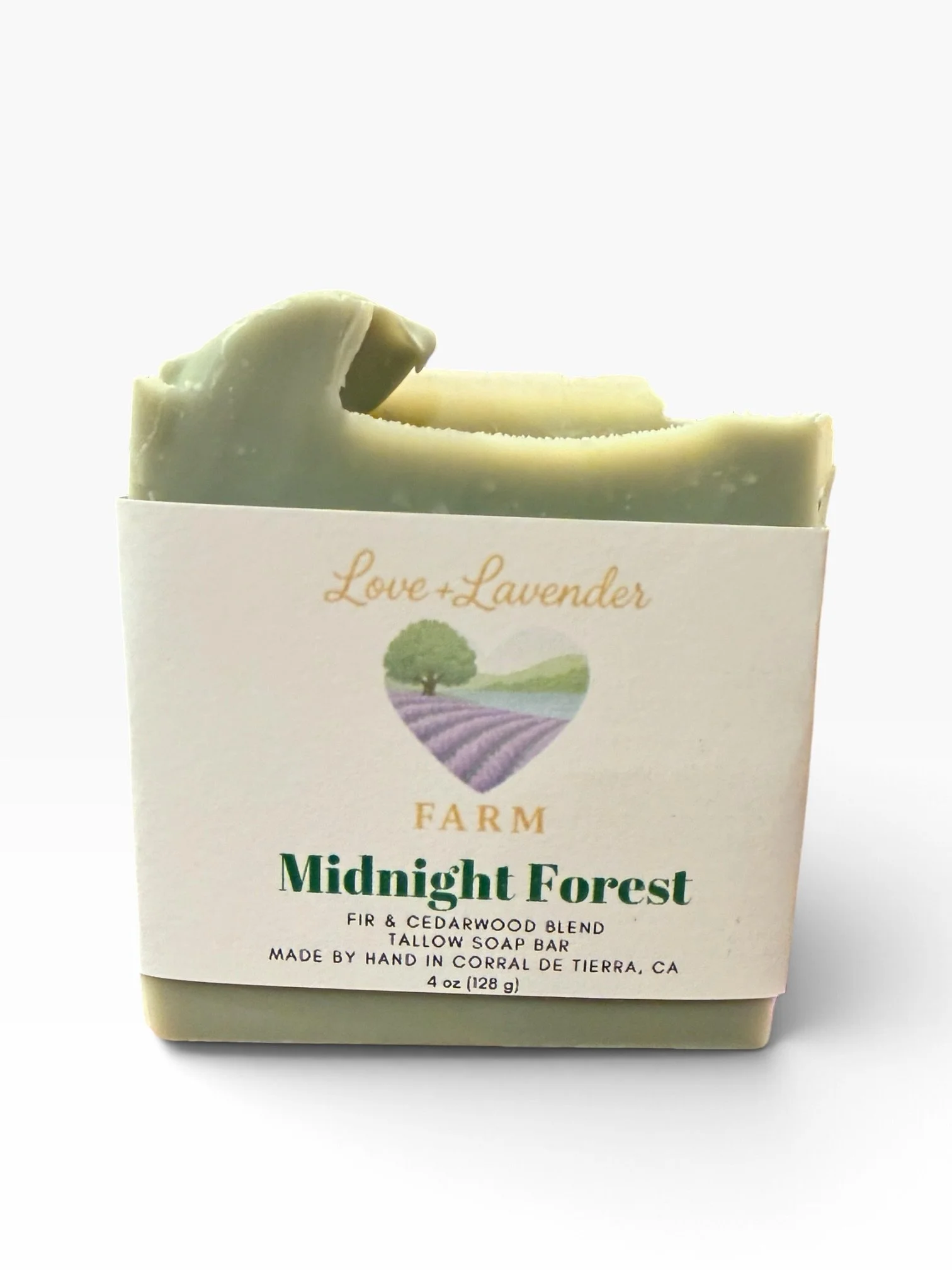 Midnight Forest 1.jpg