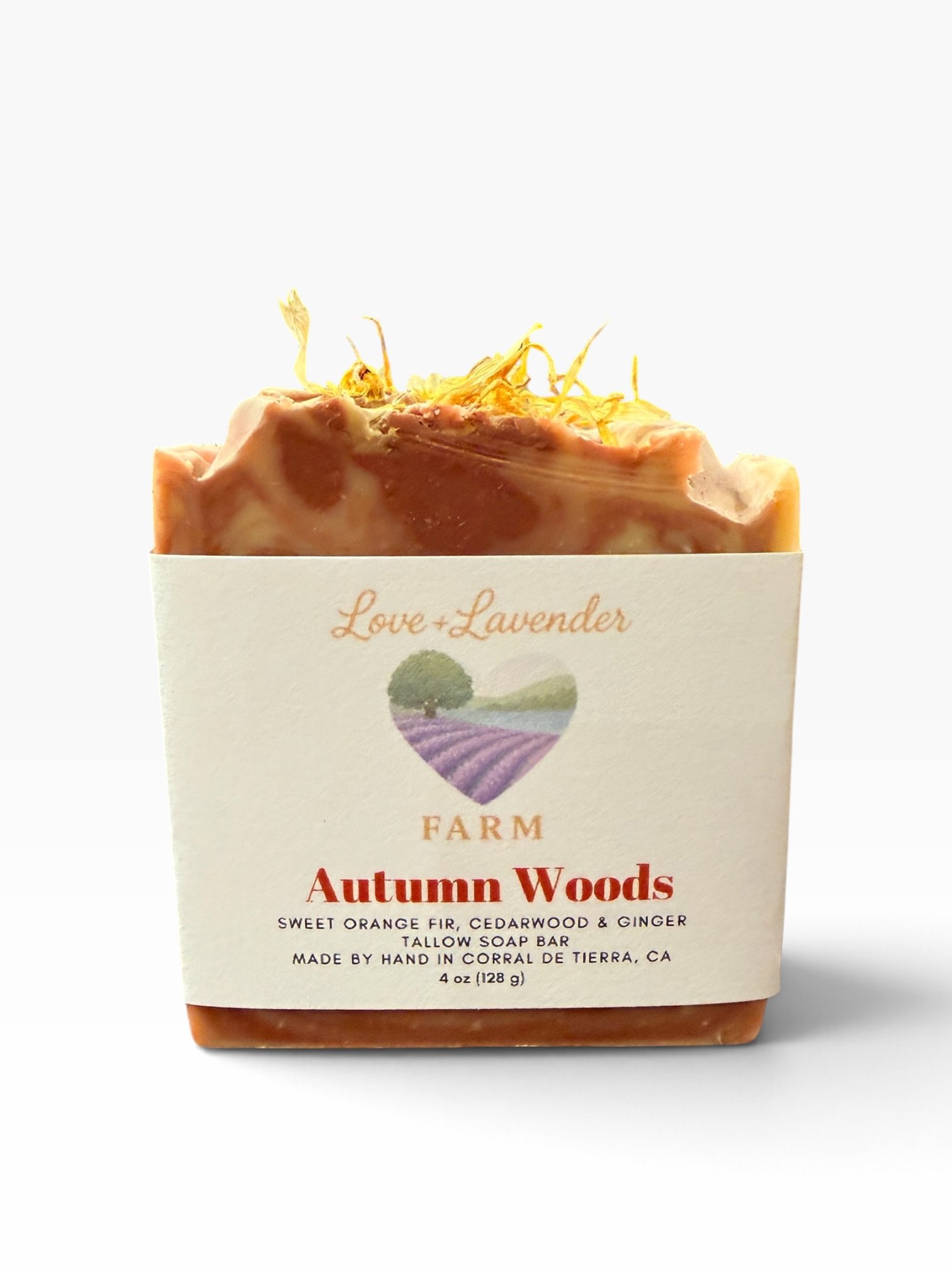 Autumn Woods 1.jpg