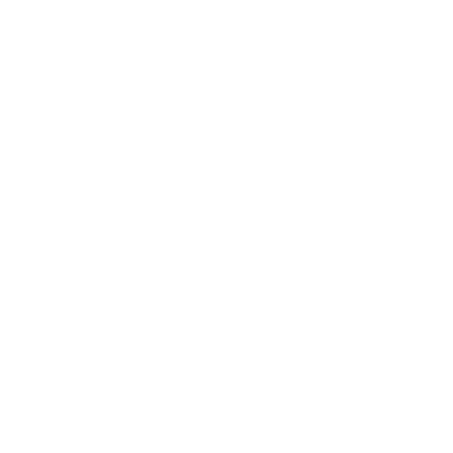 BIRD Method
