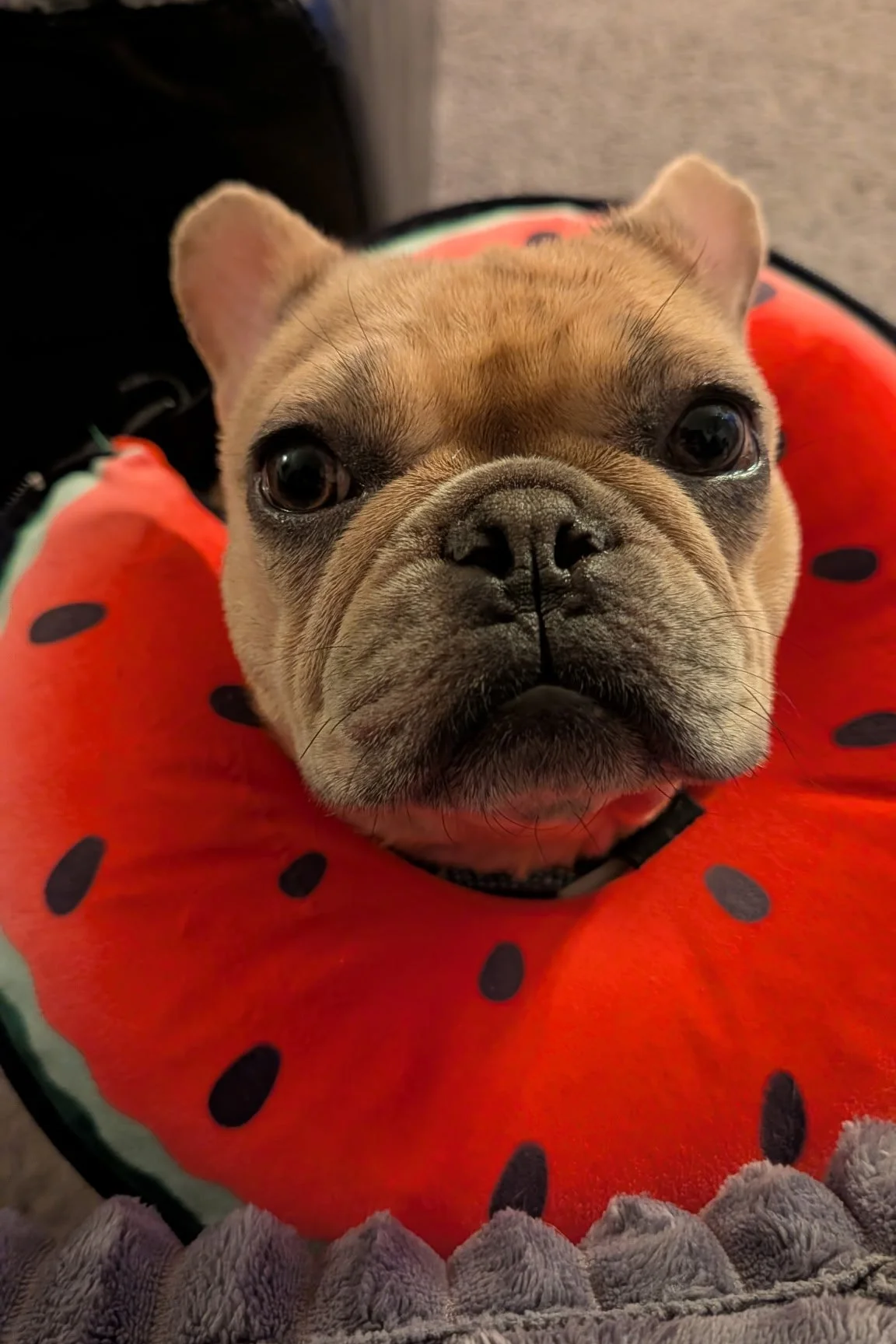 Postoperative Recovery Following TECA Surgery