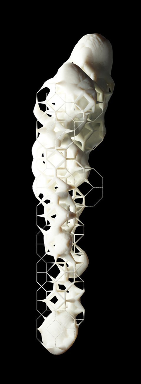 3d305511740863.560fc7f4d8b2a-1 (1).jpg