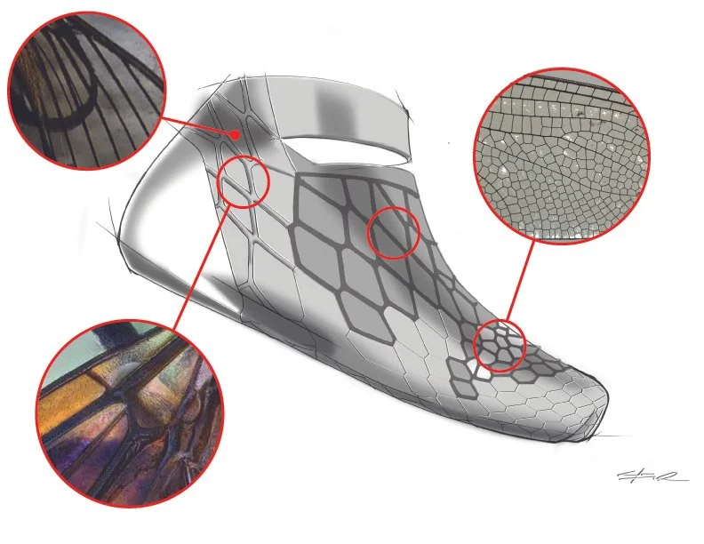 Wing configuration.jpg