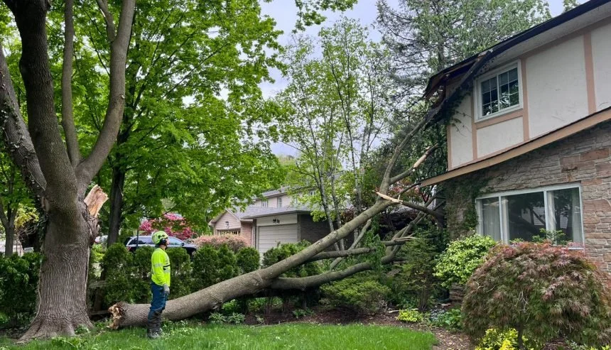 Storm Damage
