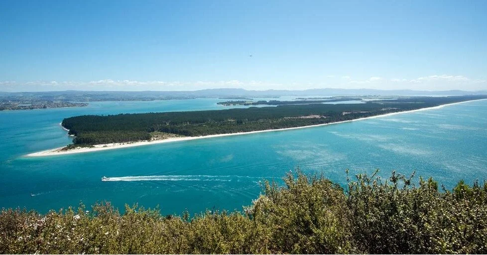 That island you see from your hike up Mount Maunganui is none other than... Matakana Island and with on our one hour cruises on Kewpie, you get a chance to be dropped off for a beach visit in the clear waters - picnic, swim, fish and picked up later 