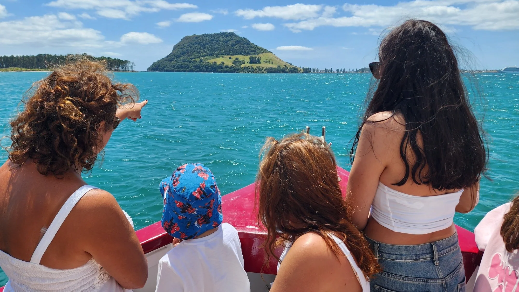 No screens, just blue and green &amp; real nature. 
Come out with us for an extended scenic harbour cruise this season for the same price!
Kids under 12 free (one kid per paying adult!)