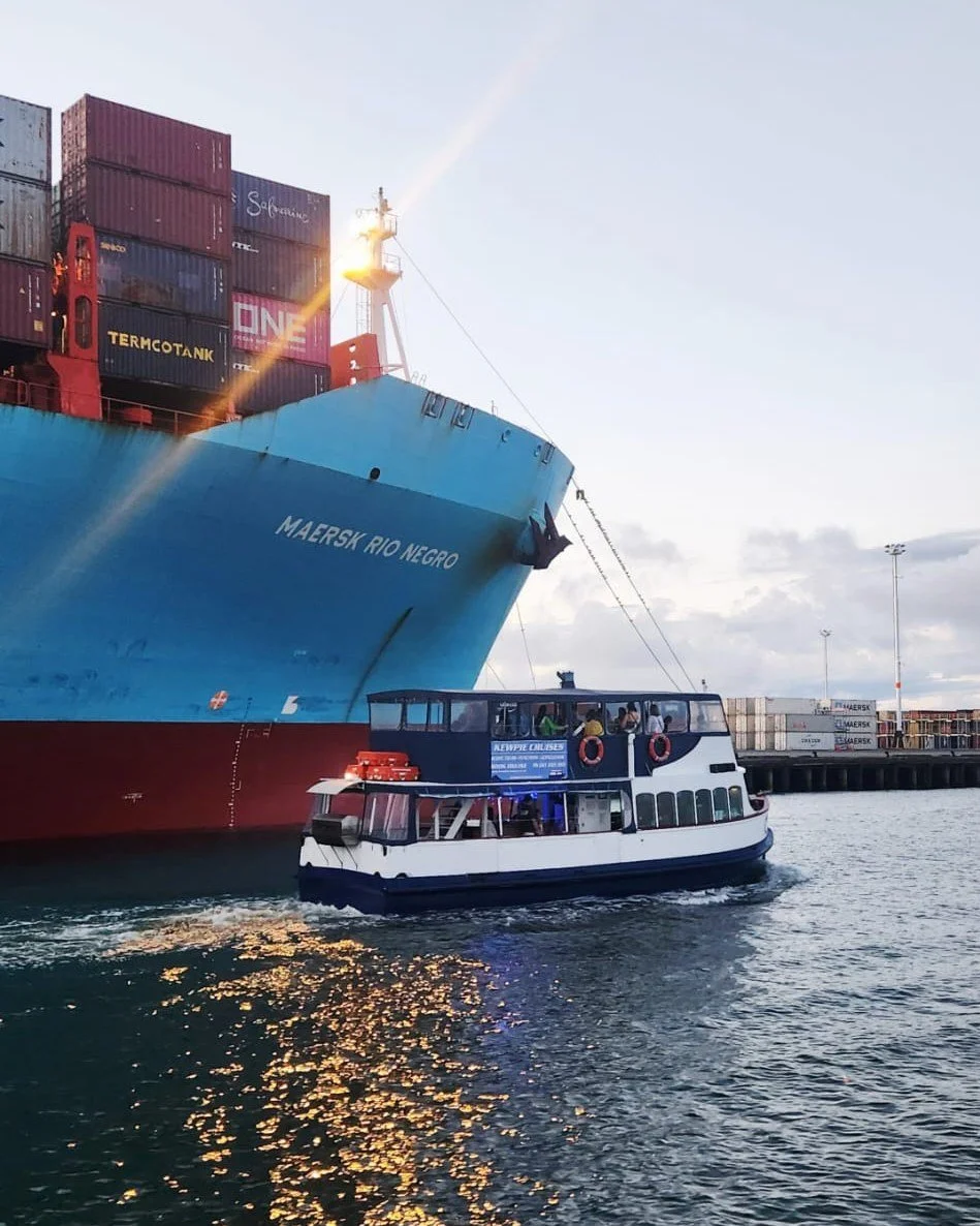 It's not just cruise ships we get close to in Tauranga Harbour for you to view up close! We may look small in comparison but big in our hearts and hospitality always 💙

Book your 90 min Kewpie Cruise from The Strand now via link in bio!
.
.
.
#taura