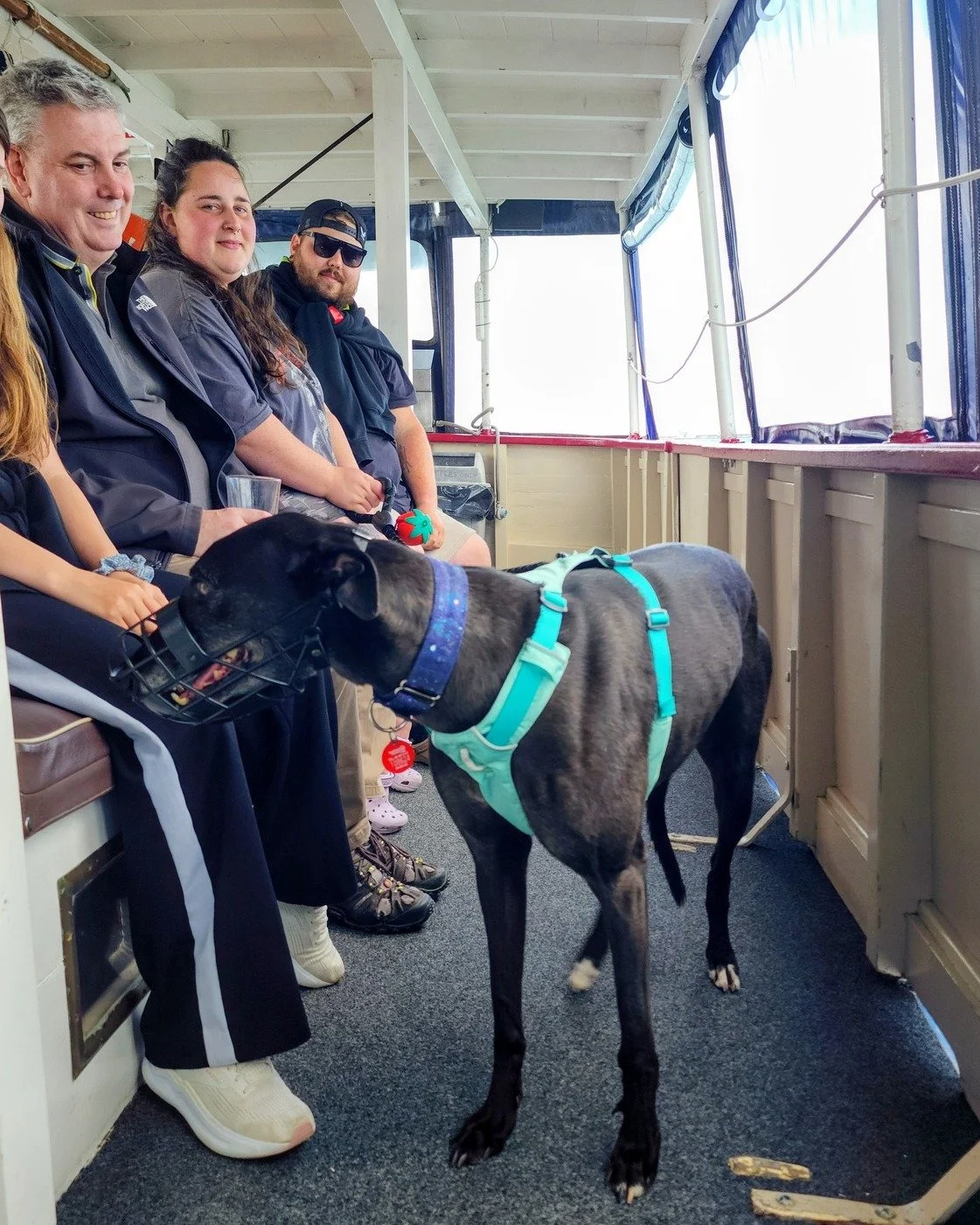 We had a very special, extra-aerodynamic passenger on board Kewpie. First boat ride for this greyhound and we are so honoured! We love welcoming well-behaved, four-legged mates on board our cruises. After all, family-fun means the WHOLE family!

Give