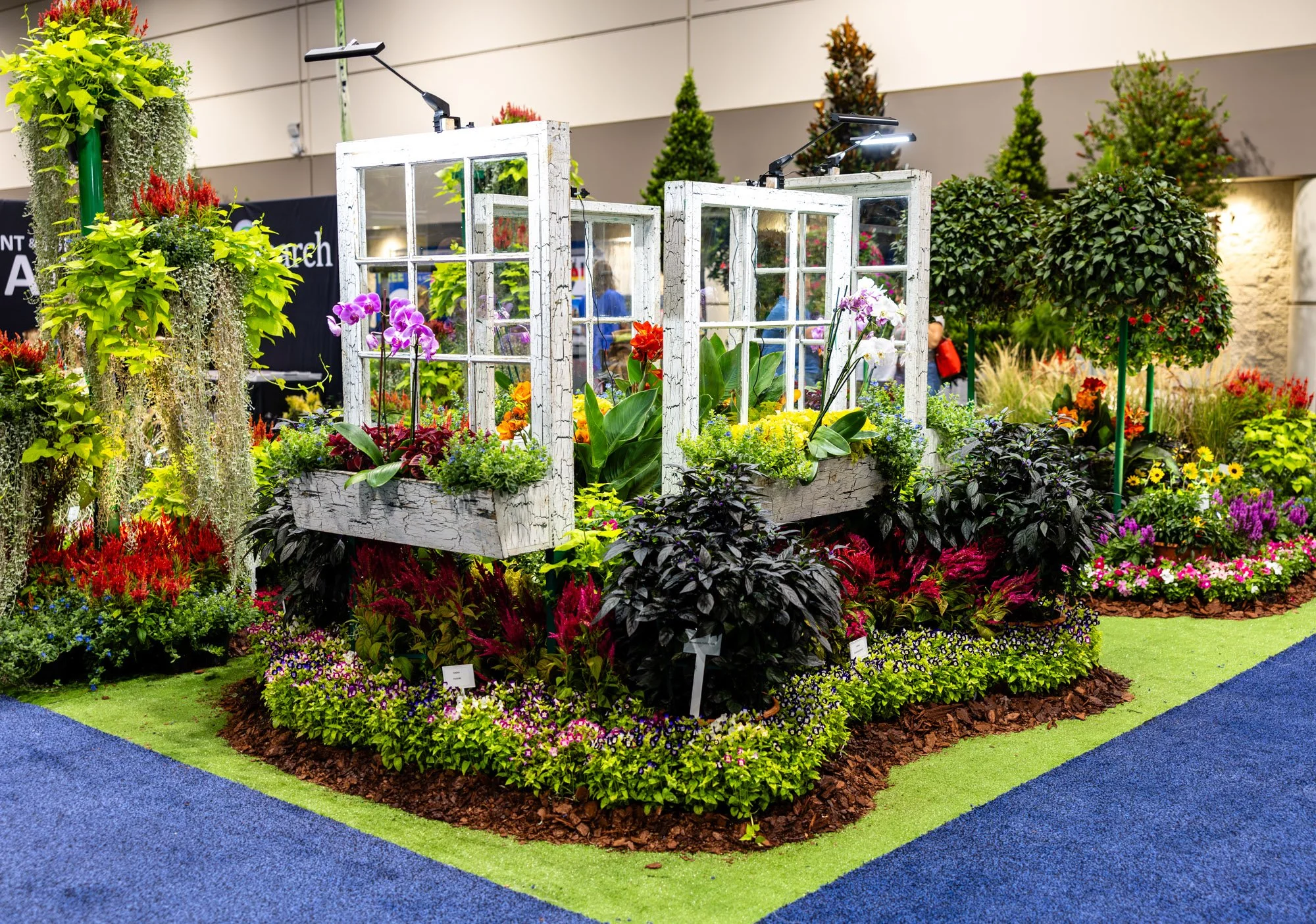orchids-1.jpg