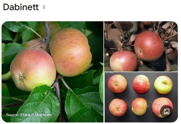 WhatsApp Image 2025-11-11 at 12.35.51_a125845c.jpg