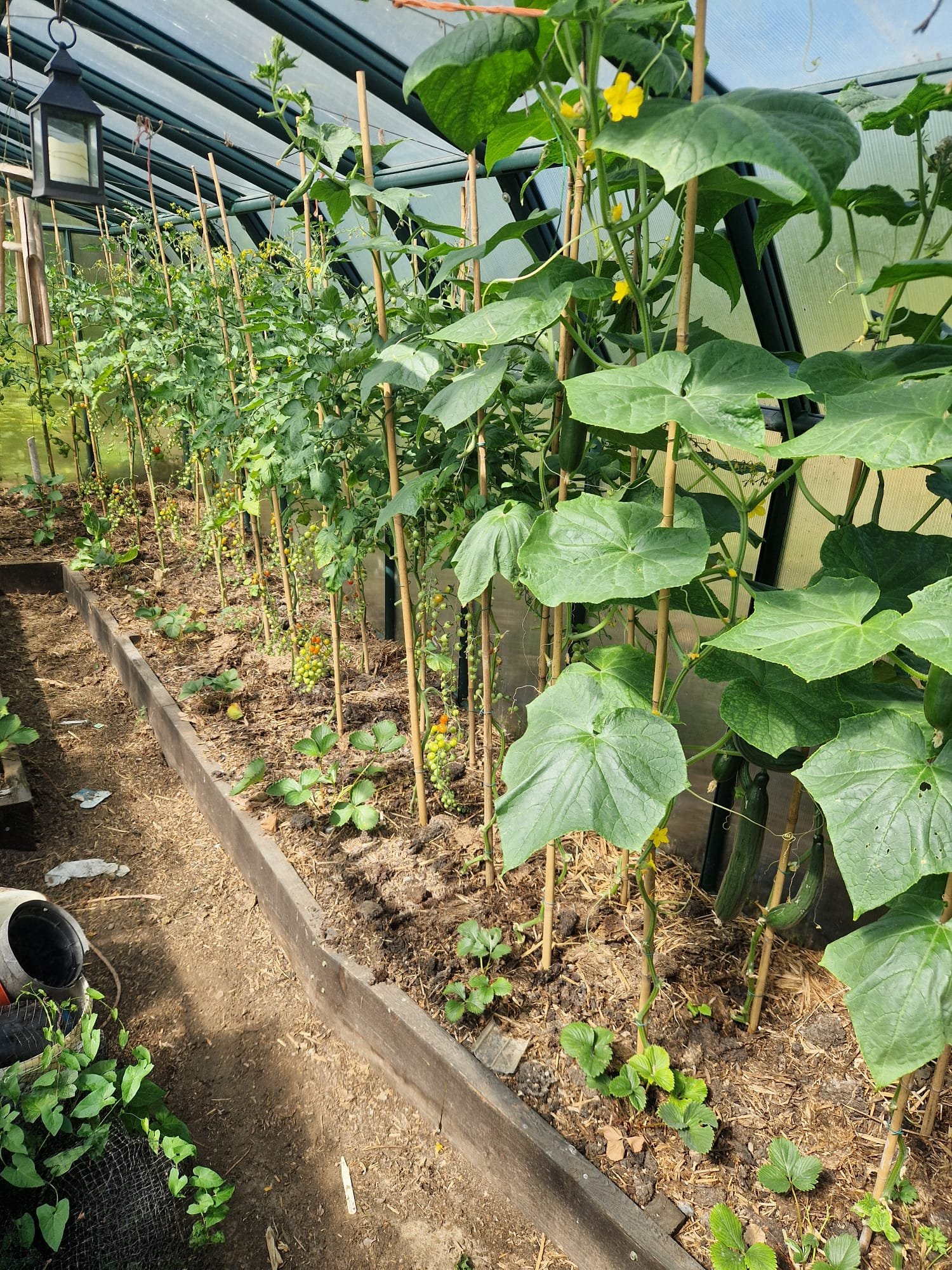 WhatsApp Image 2025-07-24 at 13.14.35_5692dd9a.jpg