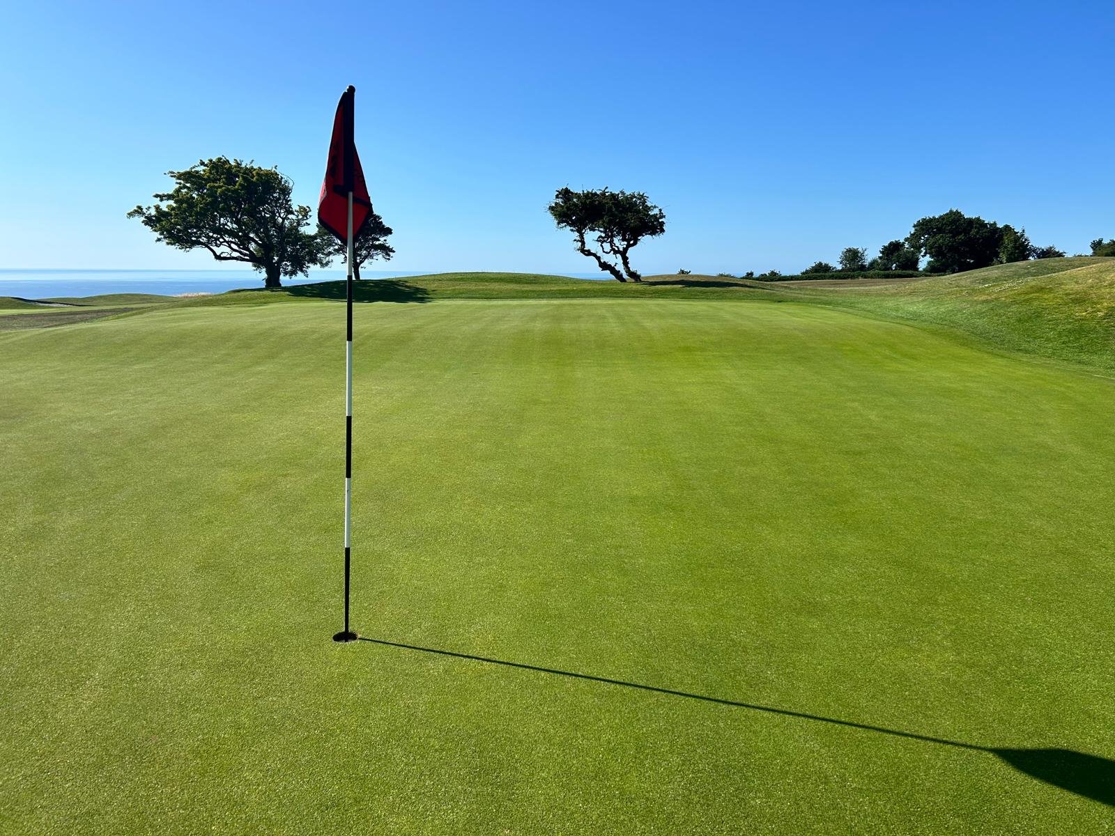 WhatsApp Image 2025-07-25 at 10.20.49_2a672b43.jpg