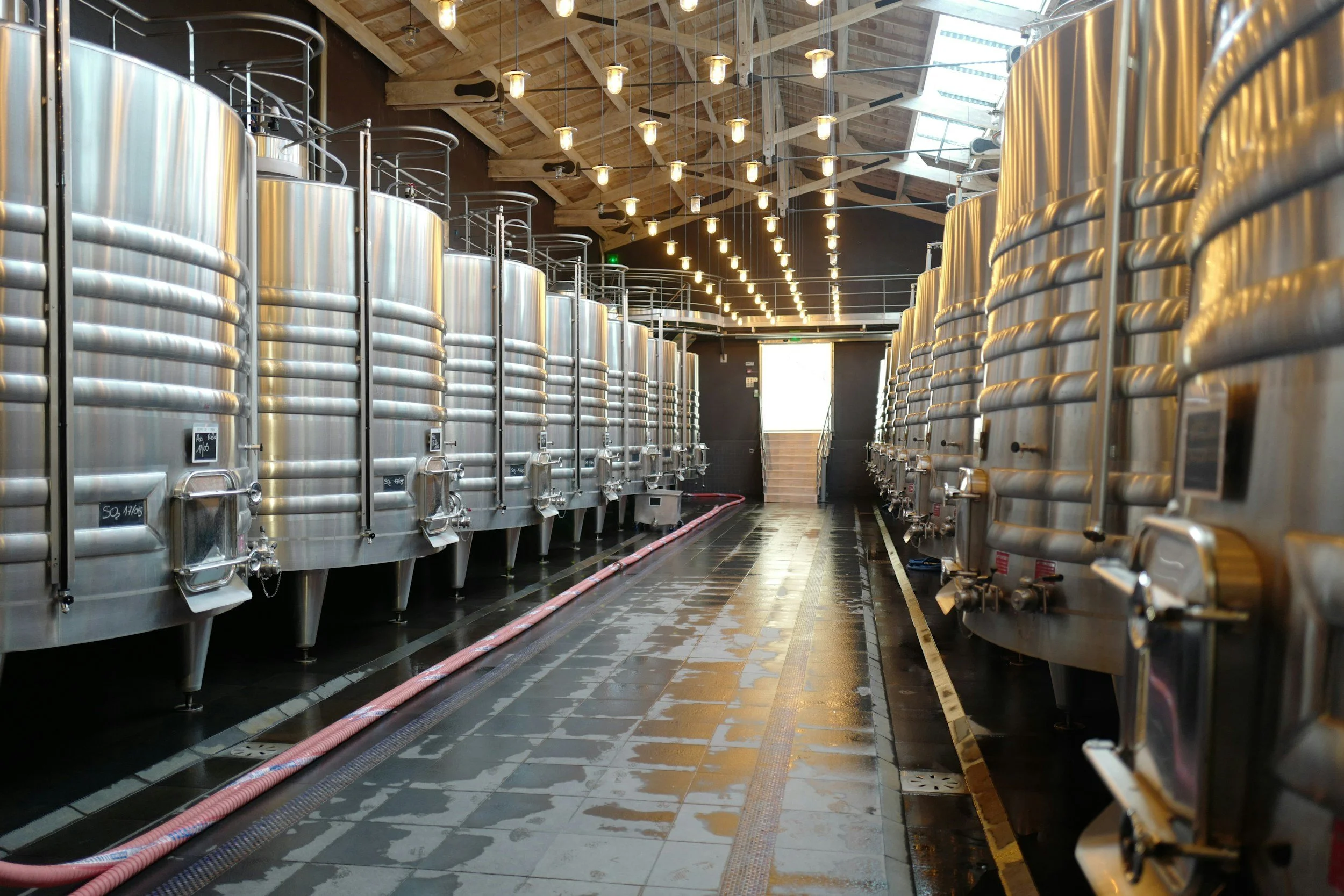 A brewery with rows of large stainless steel fermentation tanks, a black tiled floor, and hanging light bulbs. There's a staircase at the back and pipes running along the floor.