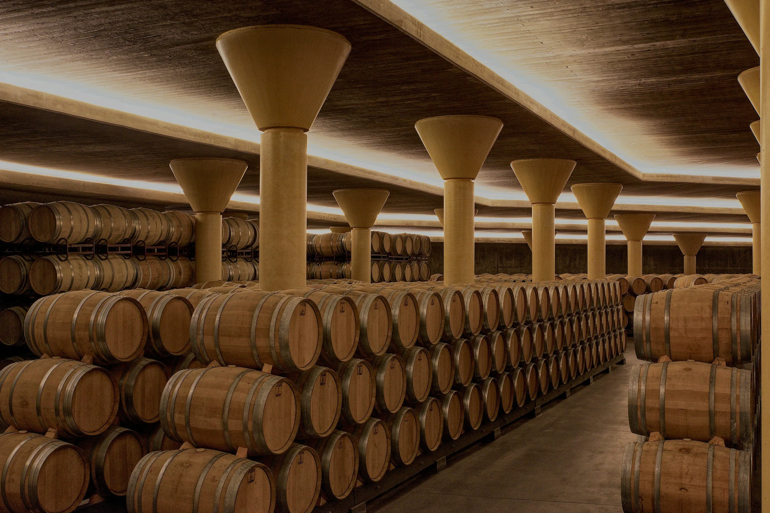 Wine cellar with stacks of wooden wine barrels arranged on racks and large cylindrical columns supporting the ceiling.