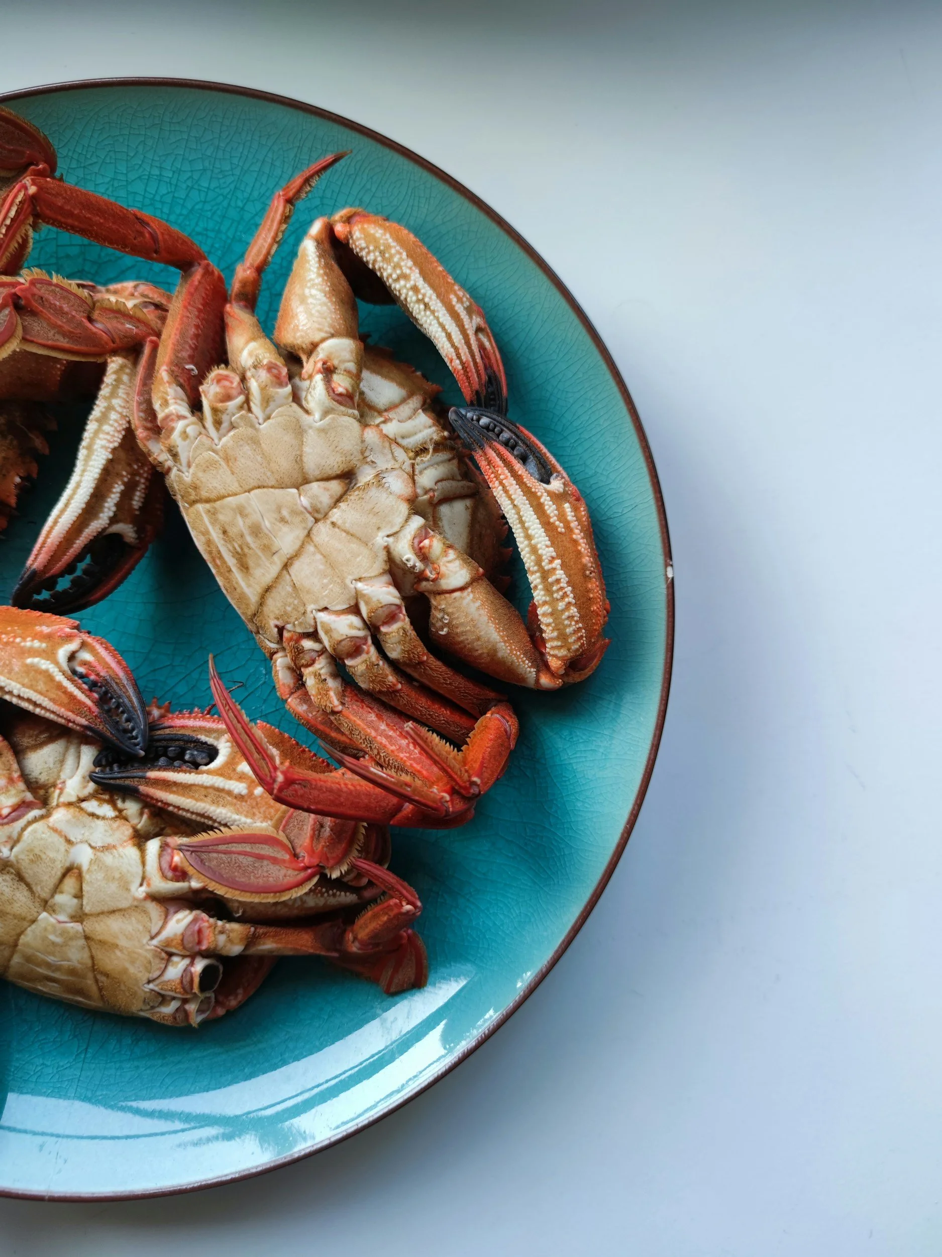 Three cooked crabs on a blue ceramic plate
