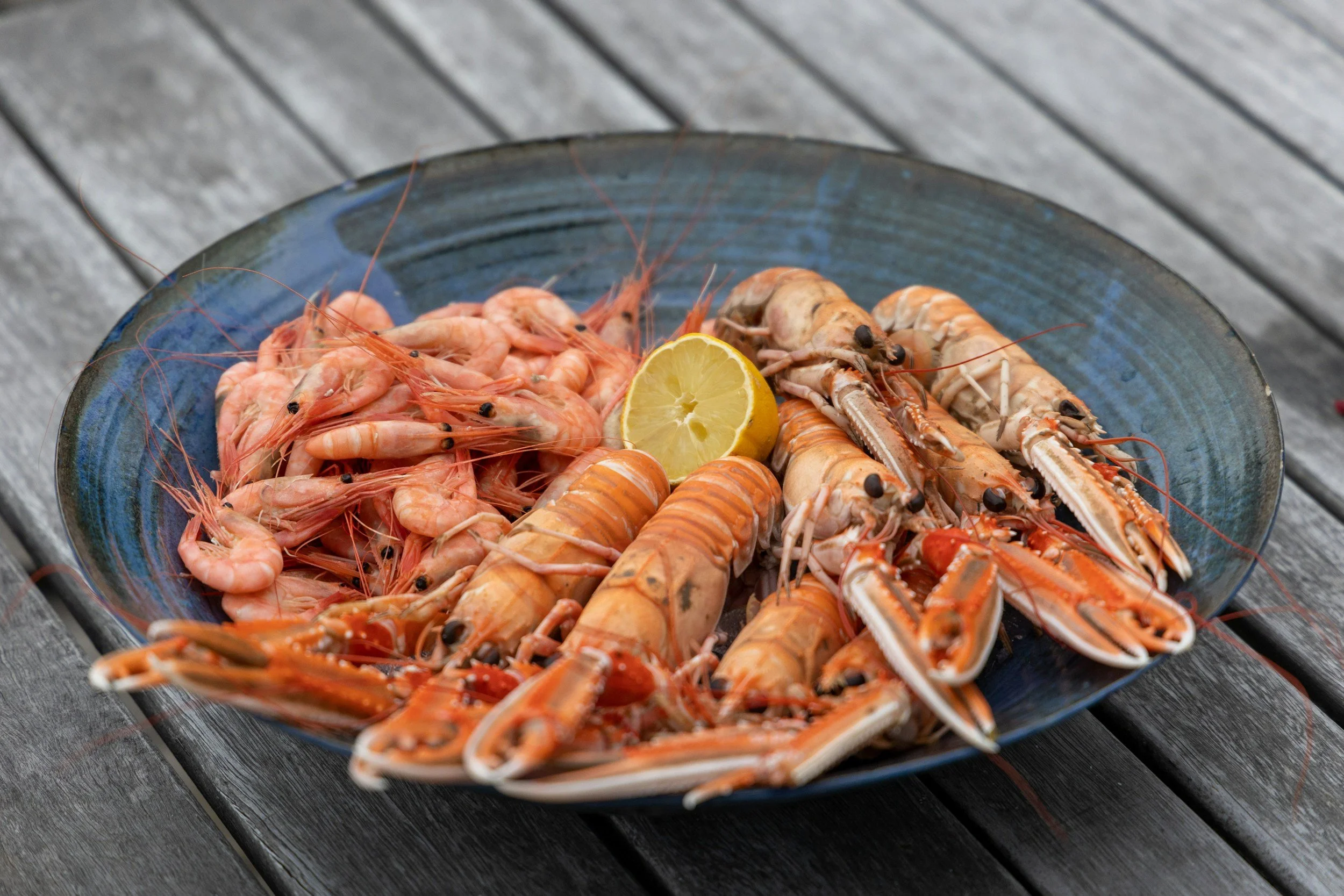 A blue ceramic plate with cooked shrimp, langoustines, and a lemon wedge on a wooden surface.