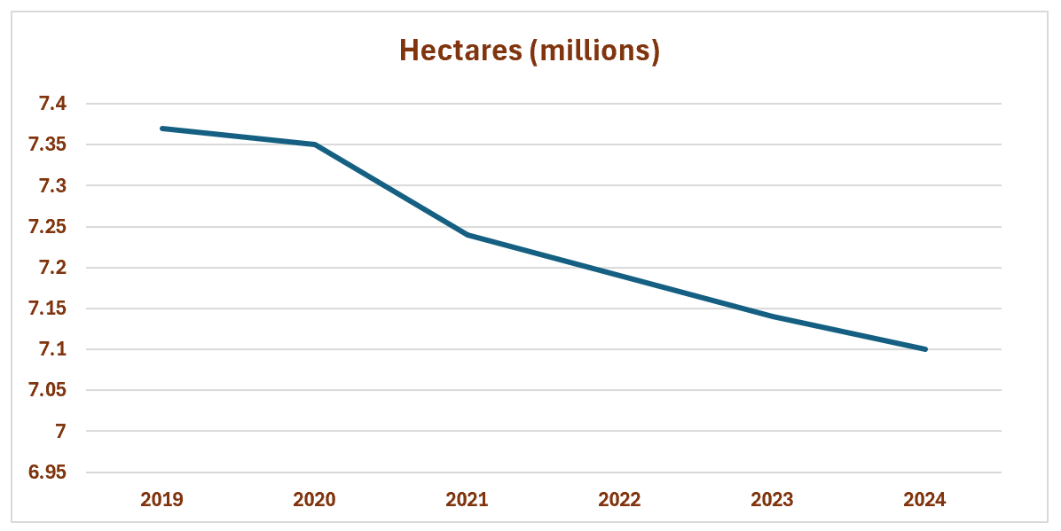 Line graph showing the decrease in hectares in millions from 2019 to 2024. The value starts around 7.38 in 2019 and declines to about 7.09 in 2024.