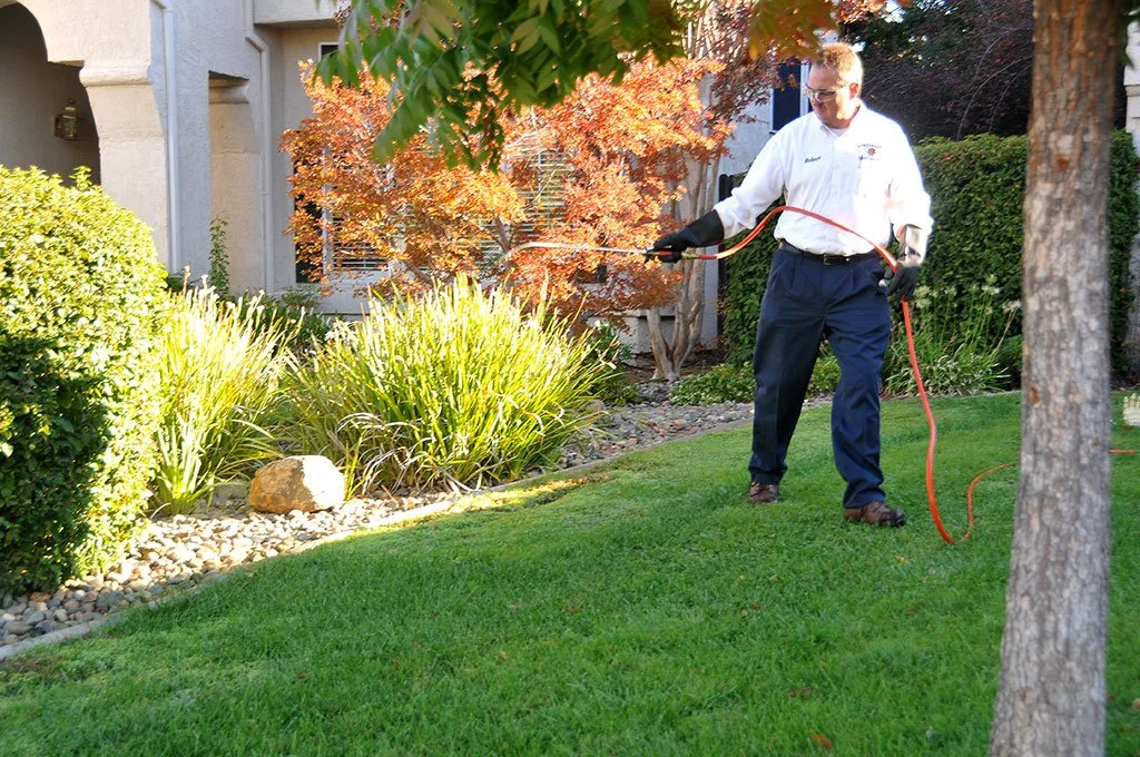 Man in safety glasses and gloves spraying pesticides on plants in a well-maintained garden with green grass and colorful trees.