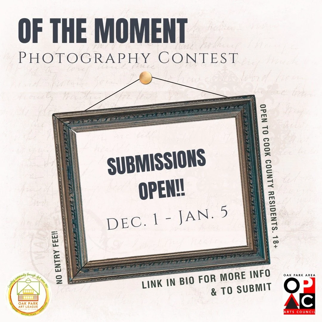 The Oak Park Area Arts Council and The Oak Park Art League are having a photography contest! The theme, &quot;Of the Moment&quot; is meant to encourage people to pause this holiday season and look at the moments that make this time of the year so spe