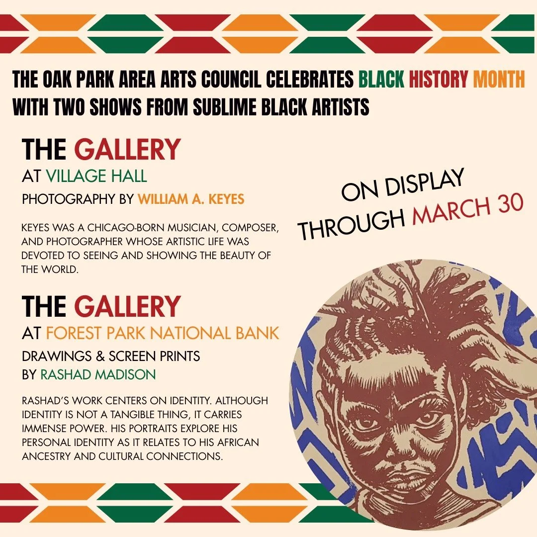 Black History Month is a time to celebrate many things, including the way black artists and black culture have shaped art and society. The Oak Park Area Arts Council is proud to be displaying the work of two local artists whose work represents what t