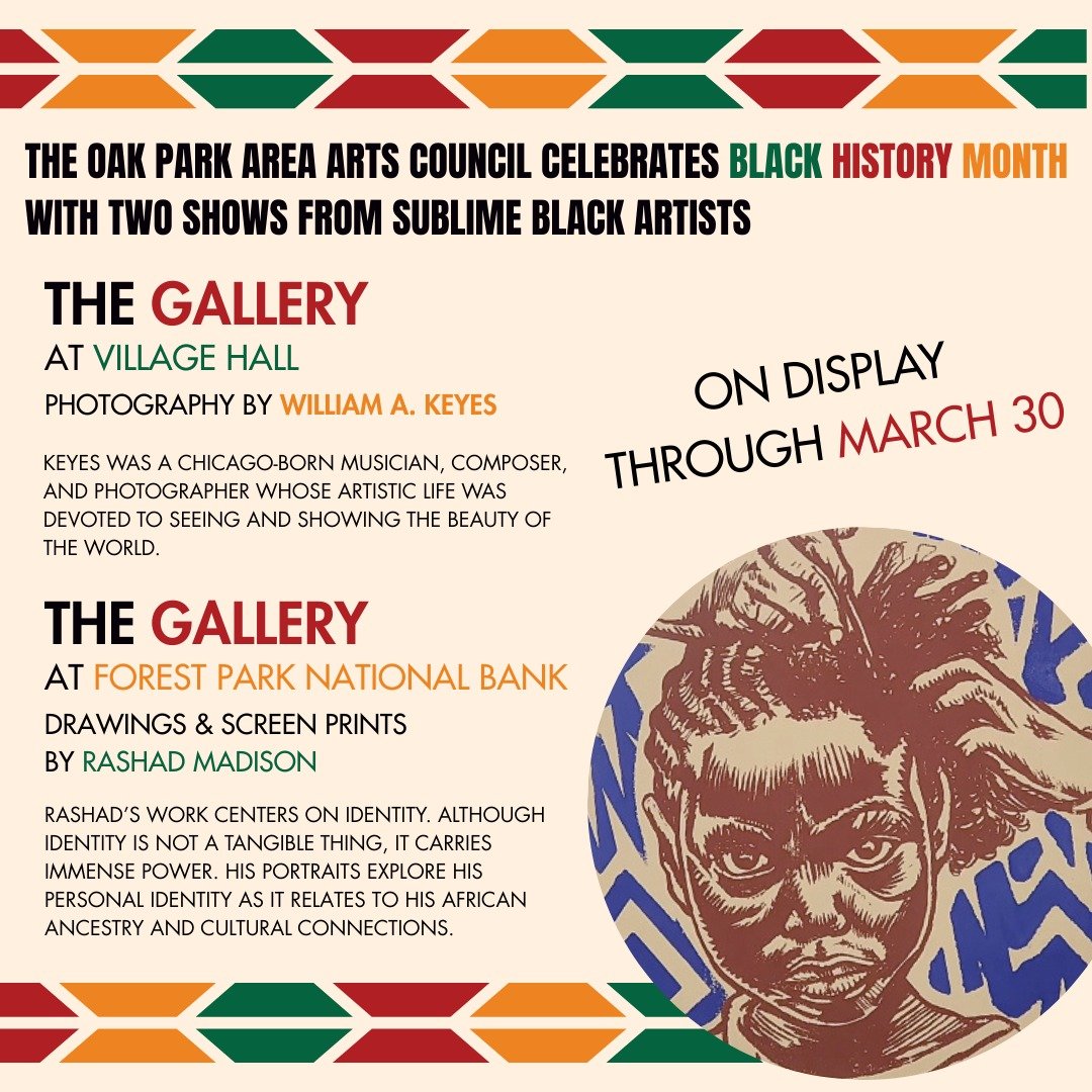Black History Month is a time to celebrate many things, including the way black artists and black culture have shaped art and society. The Oak Park Area Arts Council is proud to be displaying the work of two local artists whose work represents what t