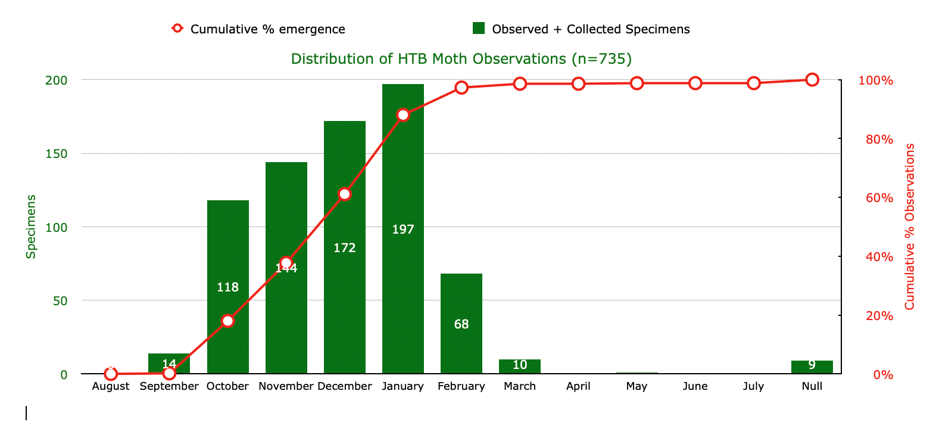 Graph Distribution HTB Moth Observations