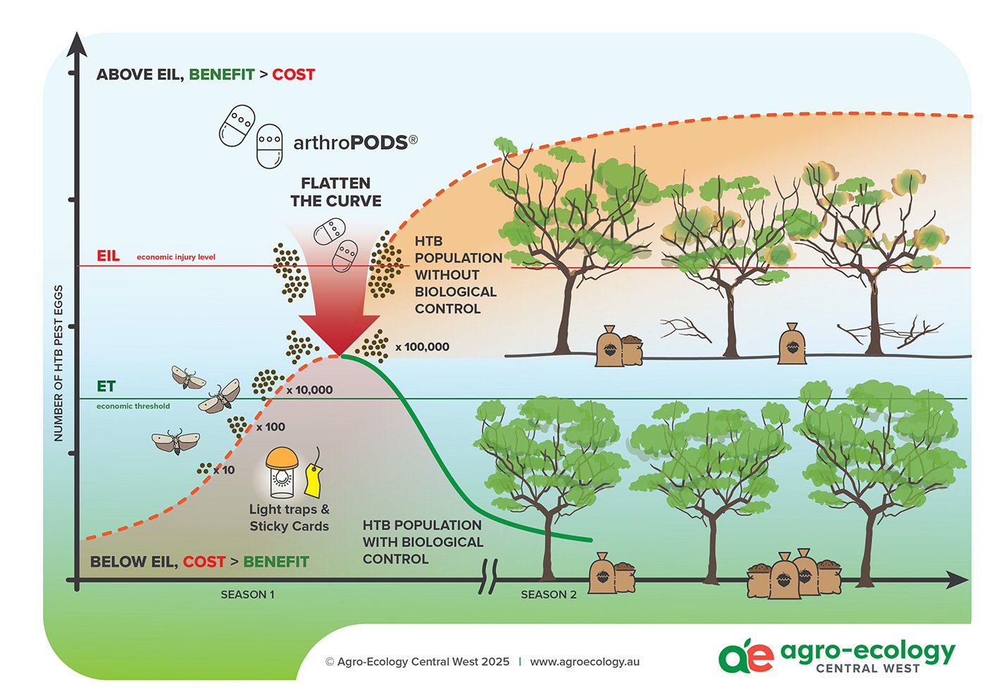 A chart showing the relationship between pest control methods and the number of HTB pest eggs over two seasons. It depicts an eco-approach with biological control leading to healthier trees and less pest eggs, contrasted with chemical methods resulting in higher pest egg counts.