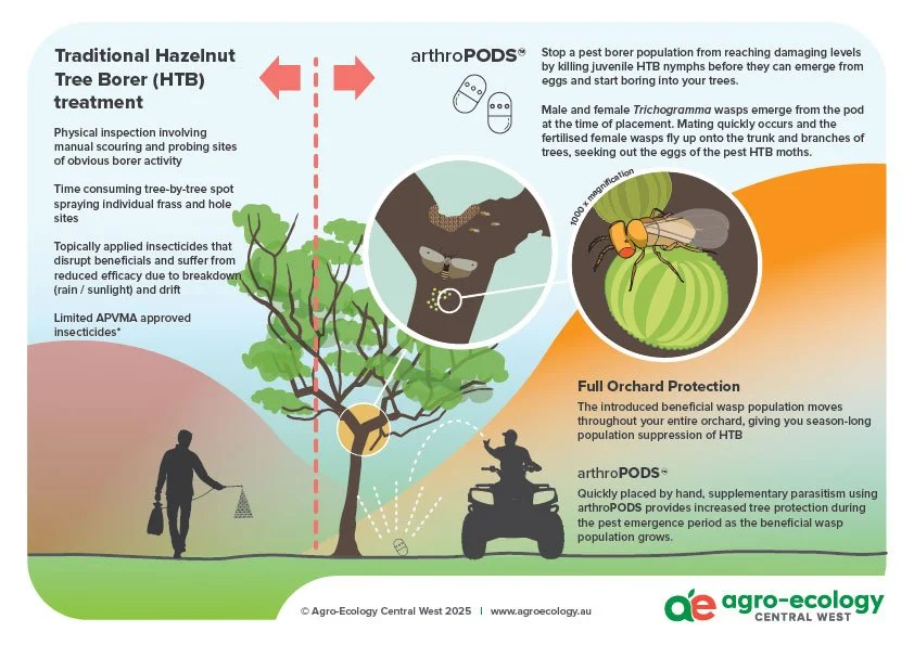 Infographic describing the treatment process for Hazel Nut Tree Borer (HTB) including physical inspection, pesticide application, and the use of arthroPODS for pest control, with illustrations of a tree, pests, and a person applying treatment.