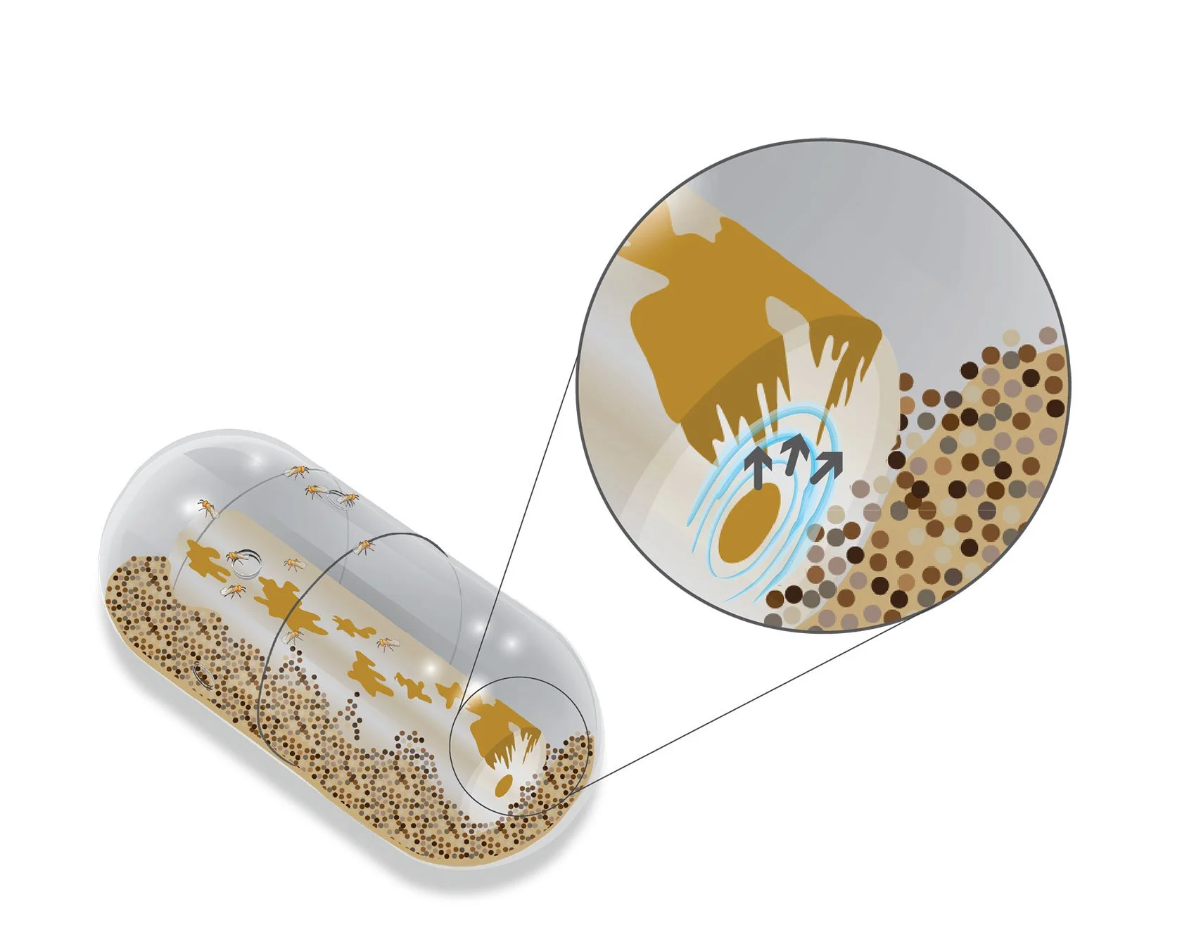 Diagram showing how insects, likely mosquitoes, are trapped inside a cylindrical container filled with a bait that attracts them. An enlarged view highlights the insects approaching and entering the container, with arrows indicating airflow or insect movement towards a trapping mechanism.
