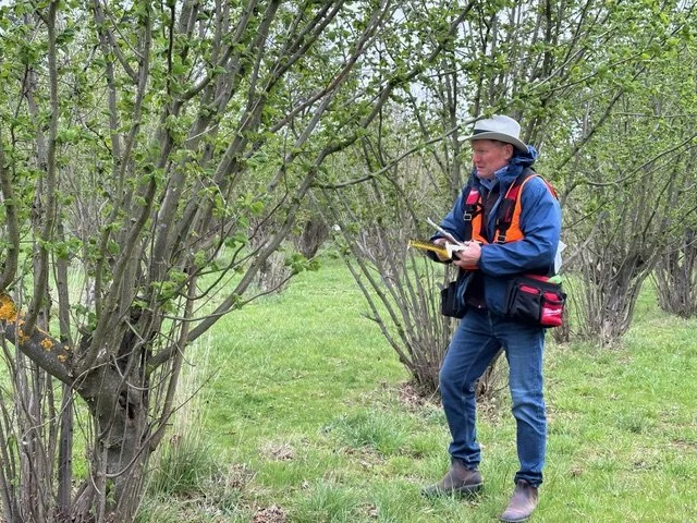 A man wearing a hat, blue jacket, and jeans stands outdoors in a green grassy area surrounded by trees. He is holding a magnifying glass and a notebook, looking at the trees, likely studying or inspecting plants.