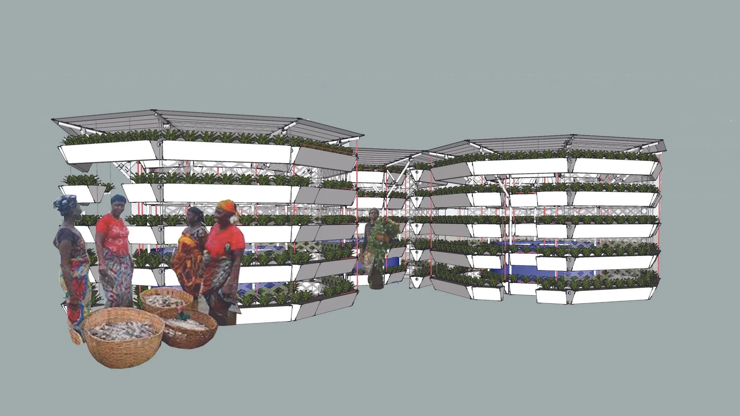 Urban-Garden-Aquaponics-Harvest protection network.jpg