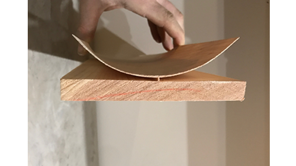 Our Office - Bent Wood.png