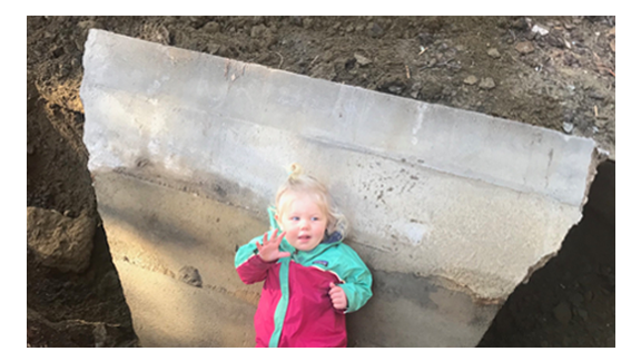 Our Office - Maeve on Concrete Slab - Smaller.png
