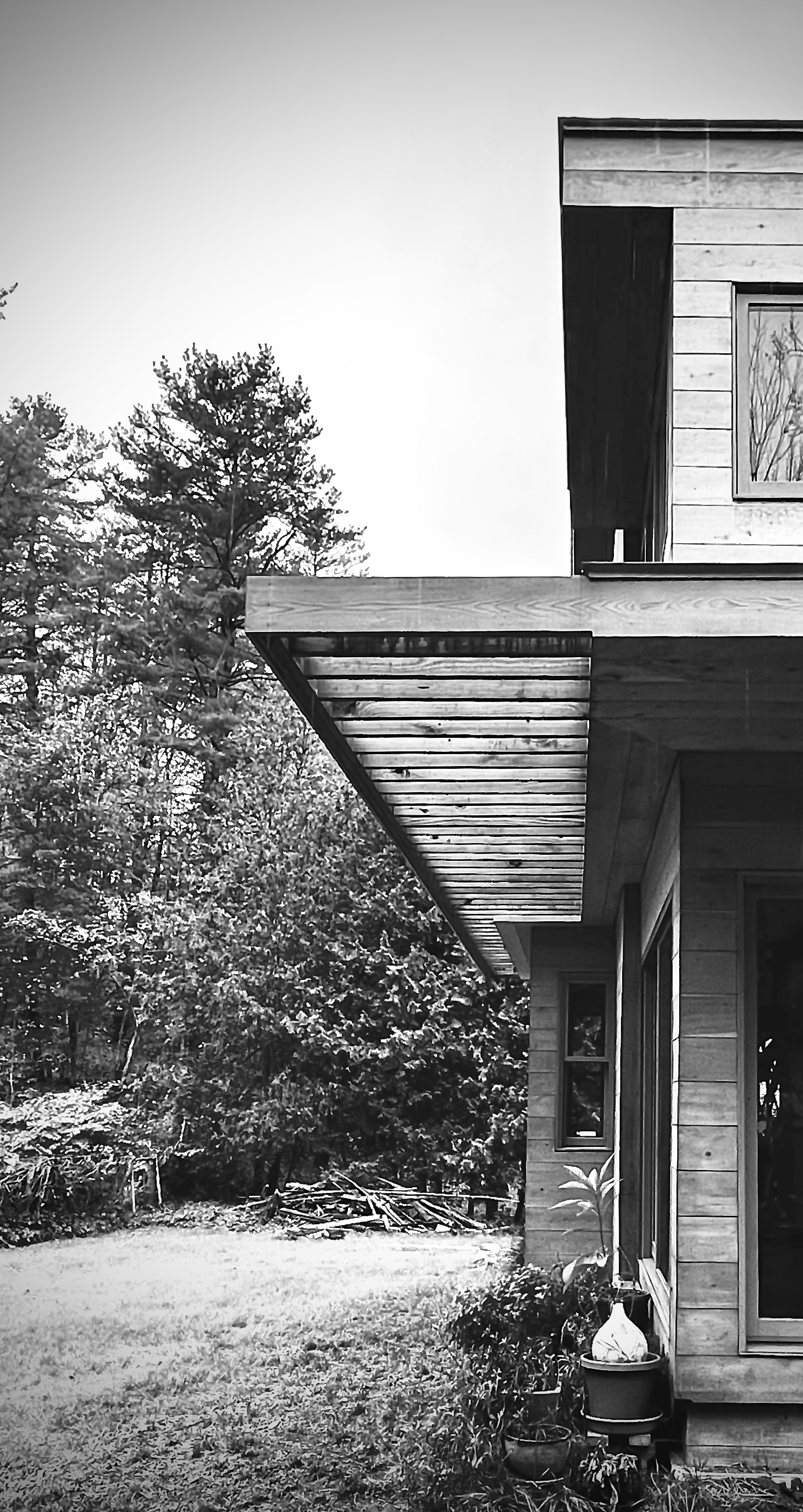 8 Whittier Trellis_Side_B&W_1104_25.png