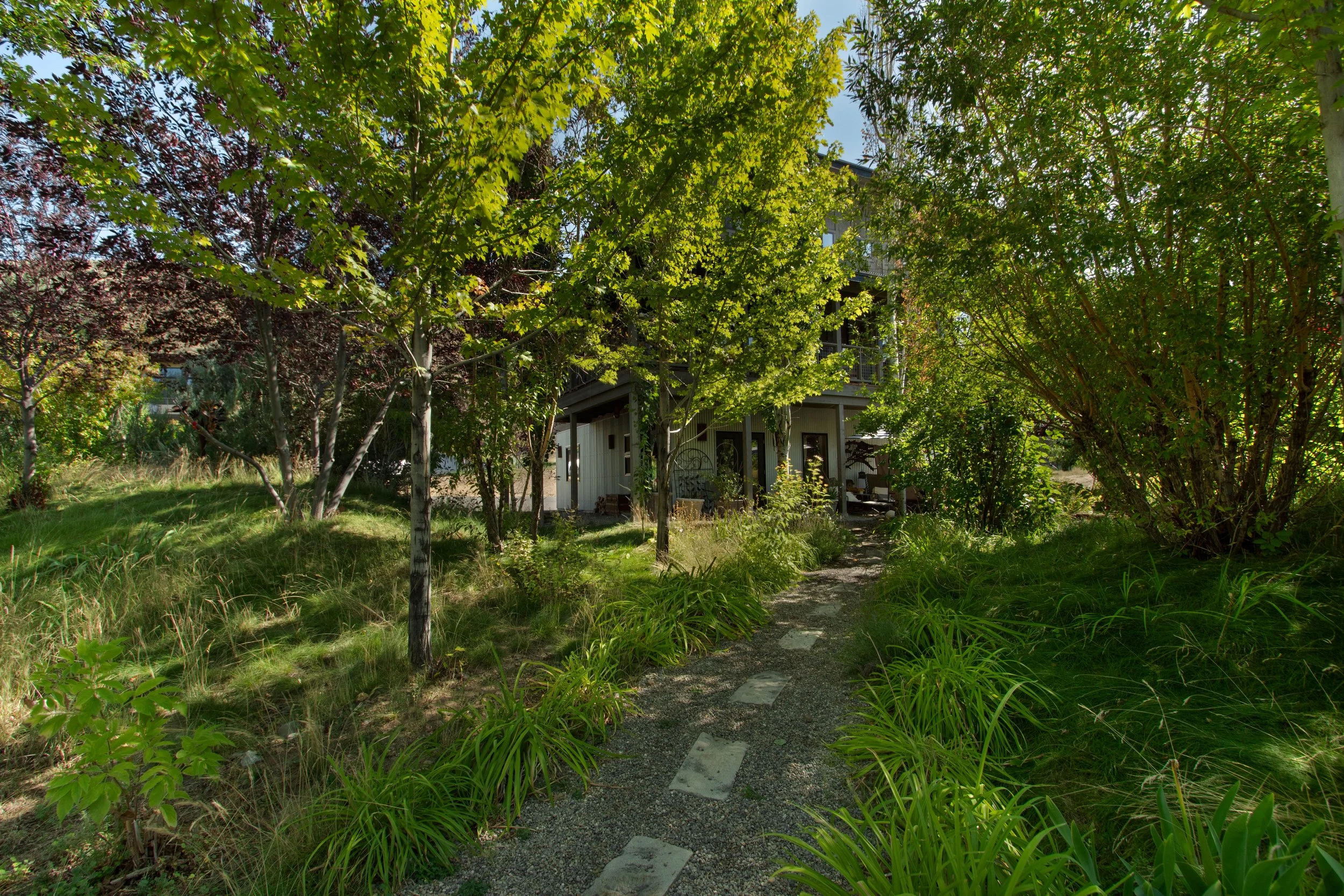 A lush, green garden with a stone pathway leading to a house partially obscured by trees and bushes.