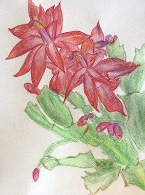 Colorful pencil drawing of red and pink flowers with green leaves.