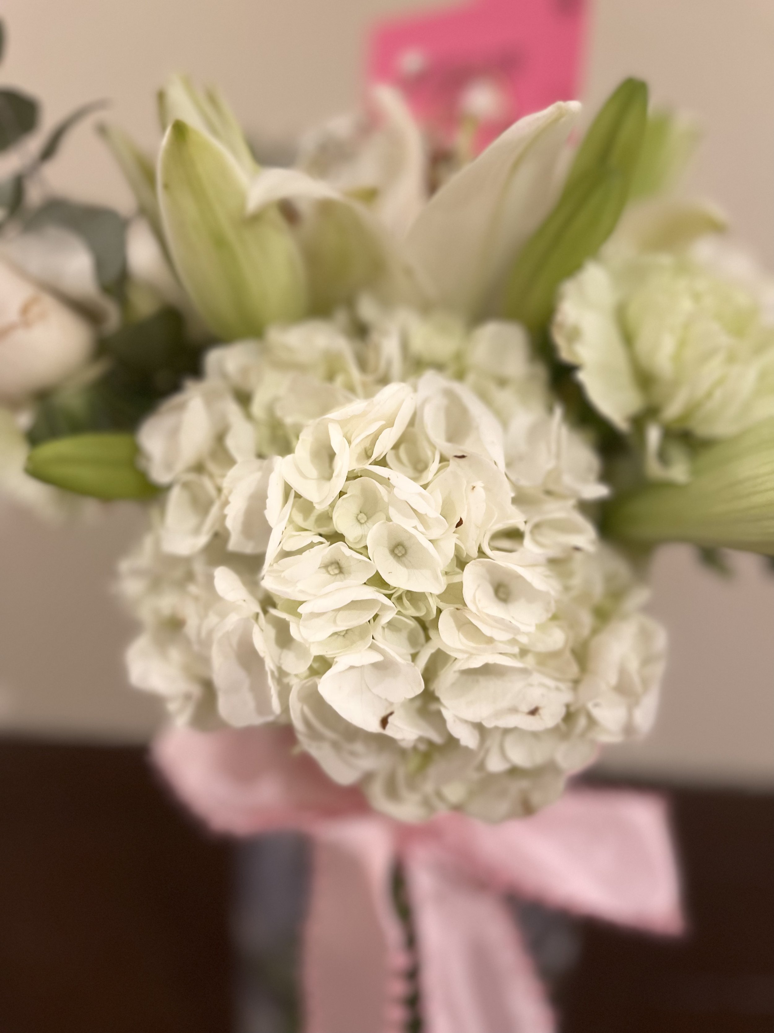 ivory-garden-harmony-hydrangea.jpg