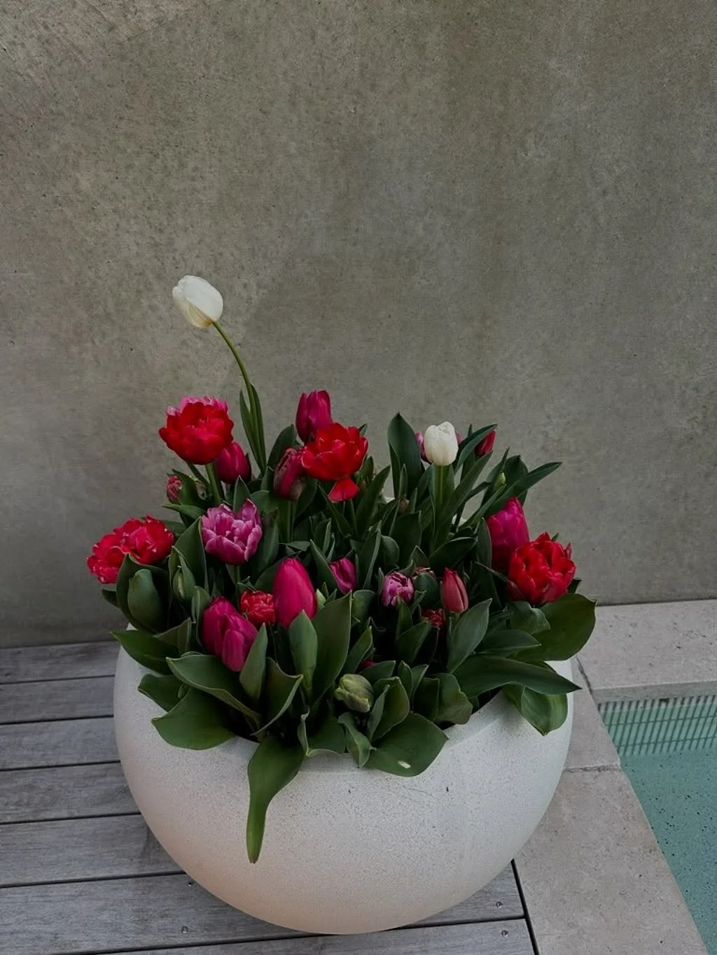 Thrilled to create this spring arrangement for our wonderful client 🌷