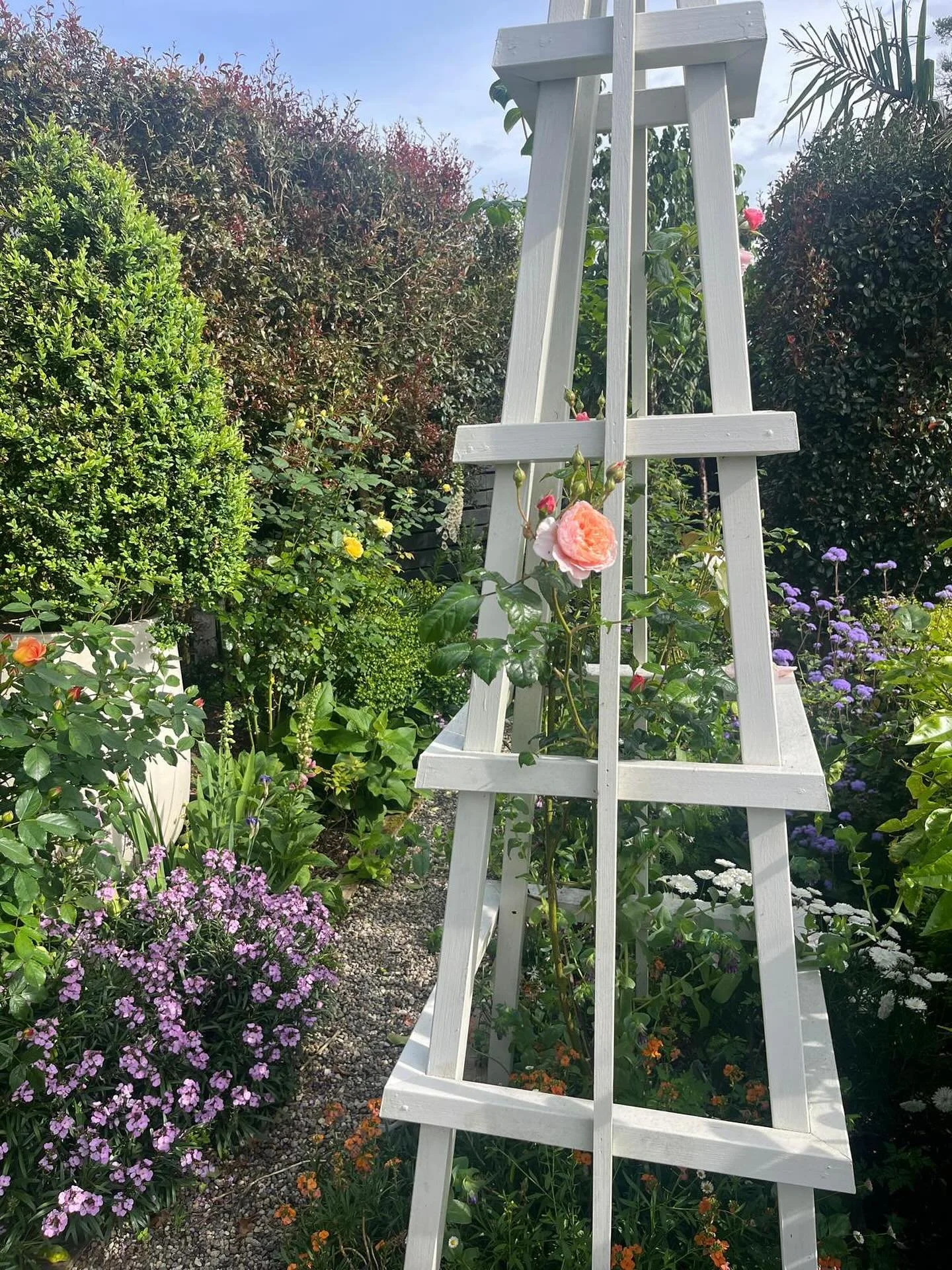 Softly structured planting around a climbing rose. Seasonal layers bring balance, colour, and calm to this garden corner.