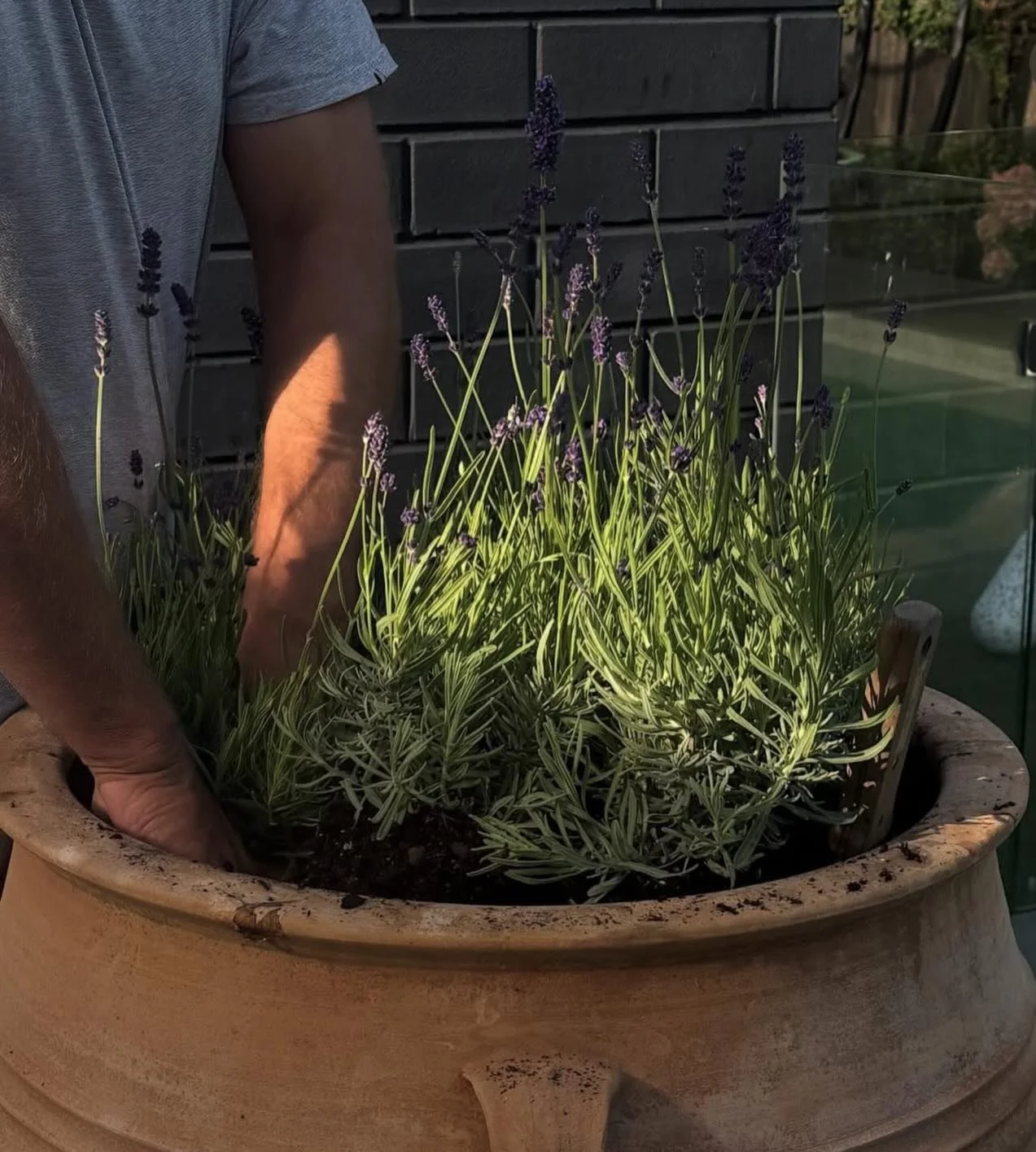 Designing and planting bespoke pots for our wonderful clients Abby and Dan 💚🪻