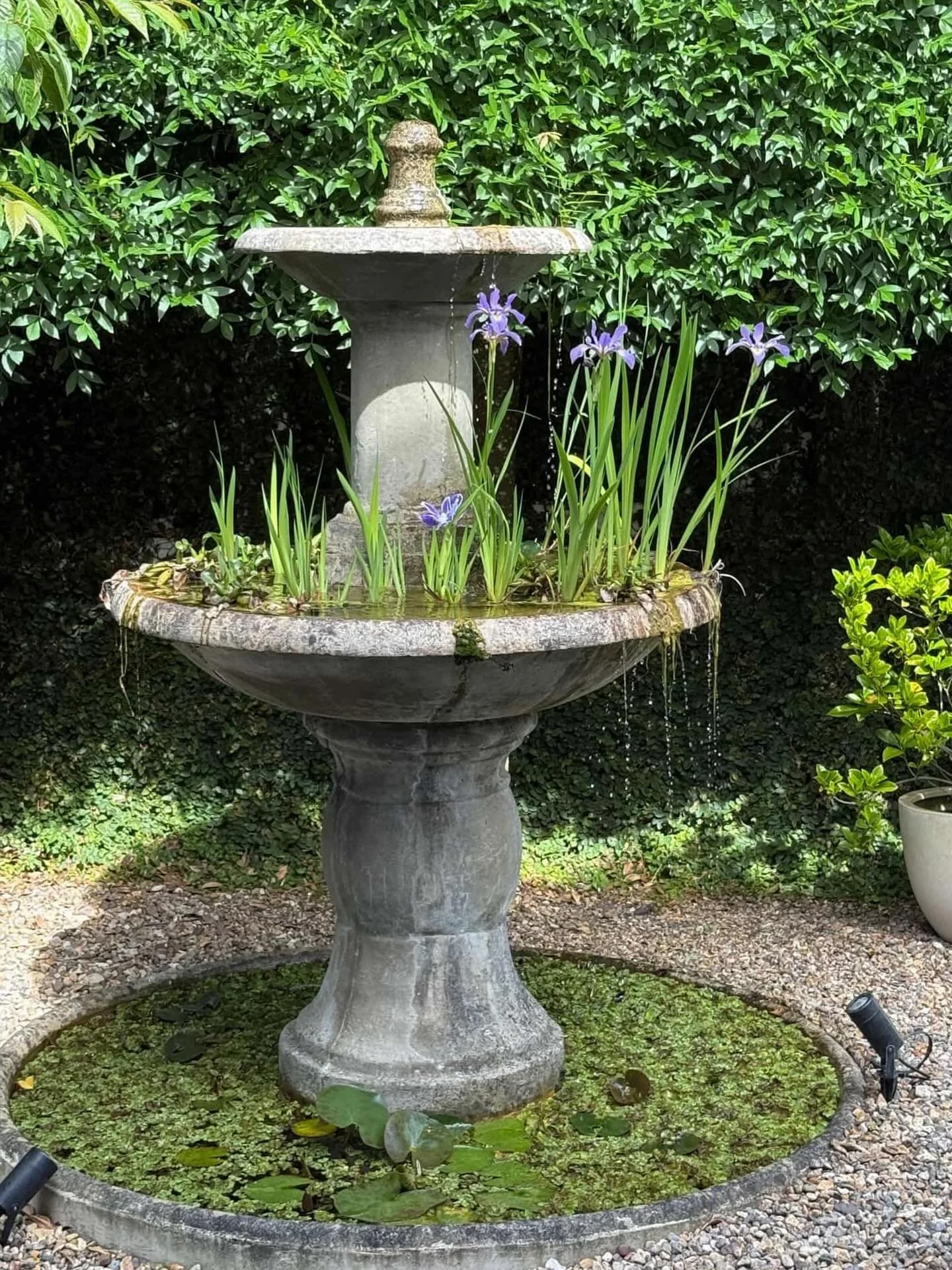 A graceful water feature sets the tone at the entrance, offering a soft, calming welcome the moment you arrive 💧🌿 At @sayburnmillergardens, this space was designed with a classic, timeless look where every detail feels intentional, elegant, and end