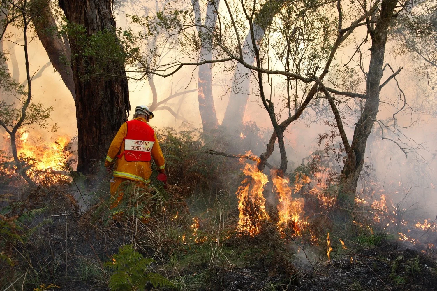 Cape Otway Ecological Burns Program