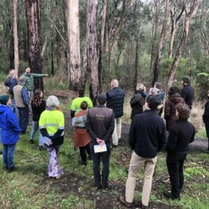 Conservation-Ecology-Centre_Resilient-forests-update.jpg