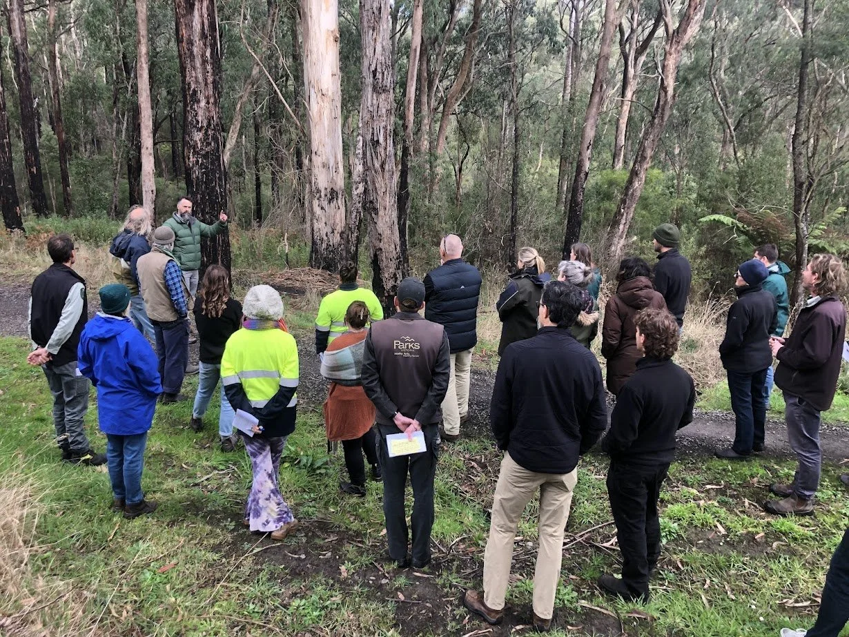 ‘Climate Resilient Forests’ – Adaptation Pathways Pilot’ now underway