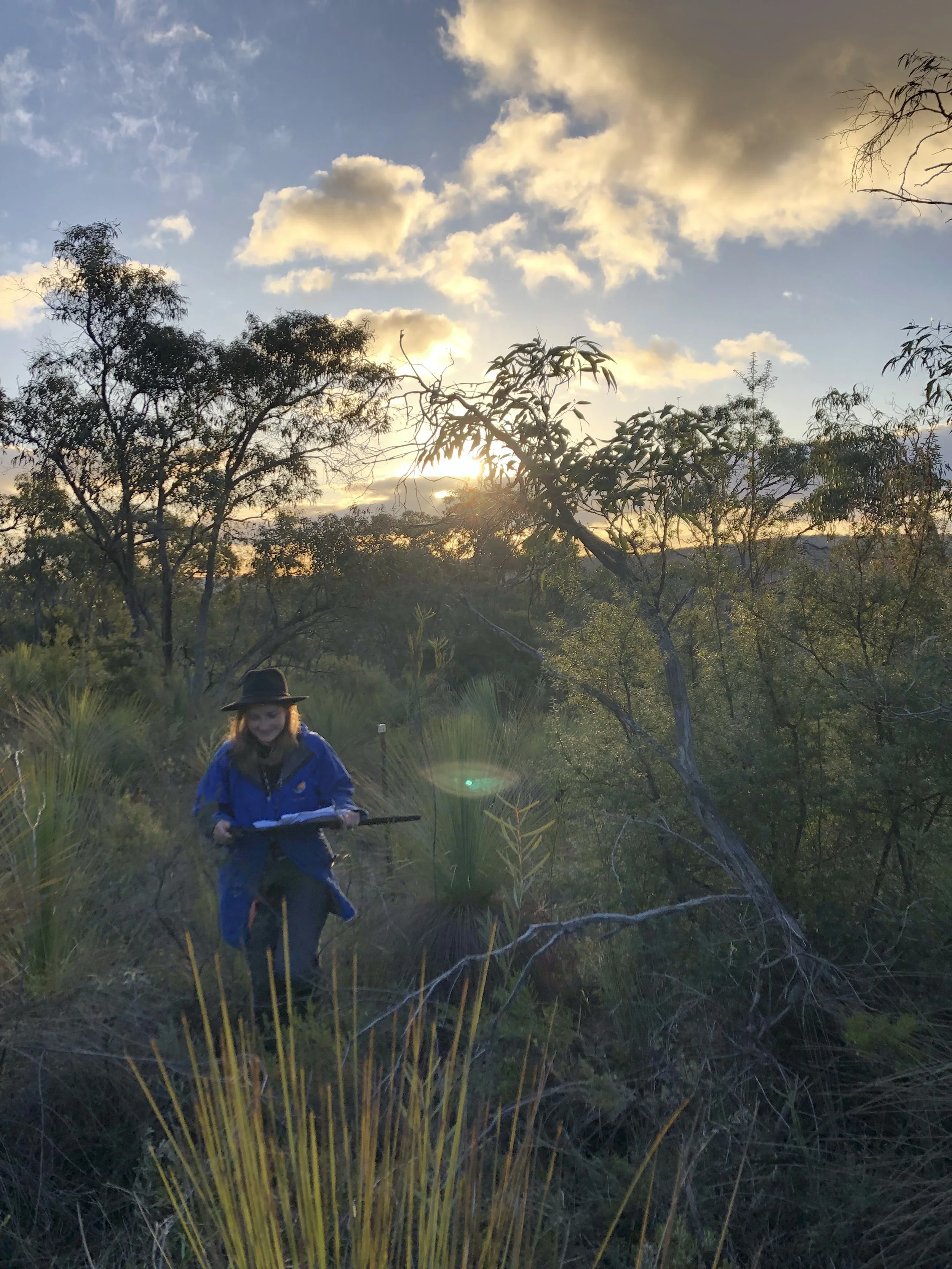 What does the future hold for the Otway Ranges in Southwest Victoria?