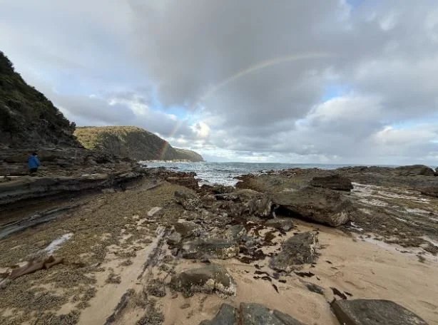 OMER Update: Spring Survey Highlights, Project Progress &amp; 2026 Plans