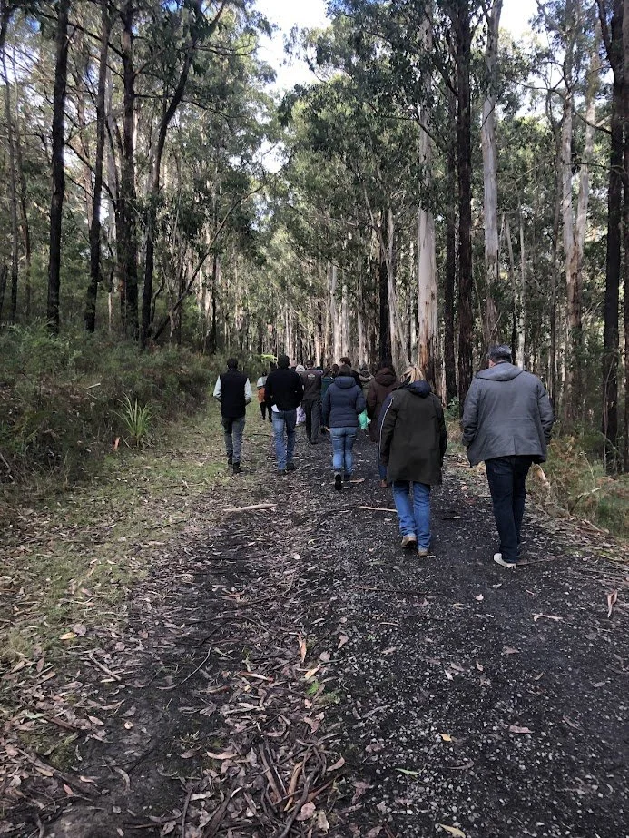 Resilient forests group_Conservation Ecology Centre.jpg