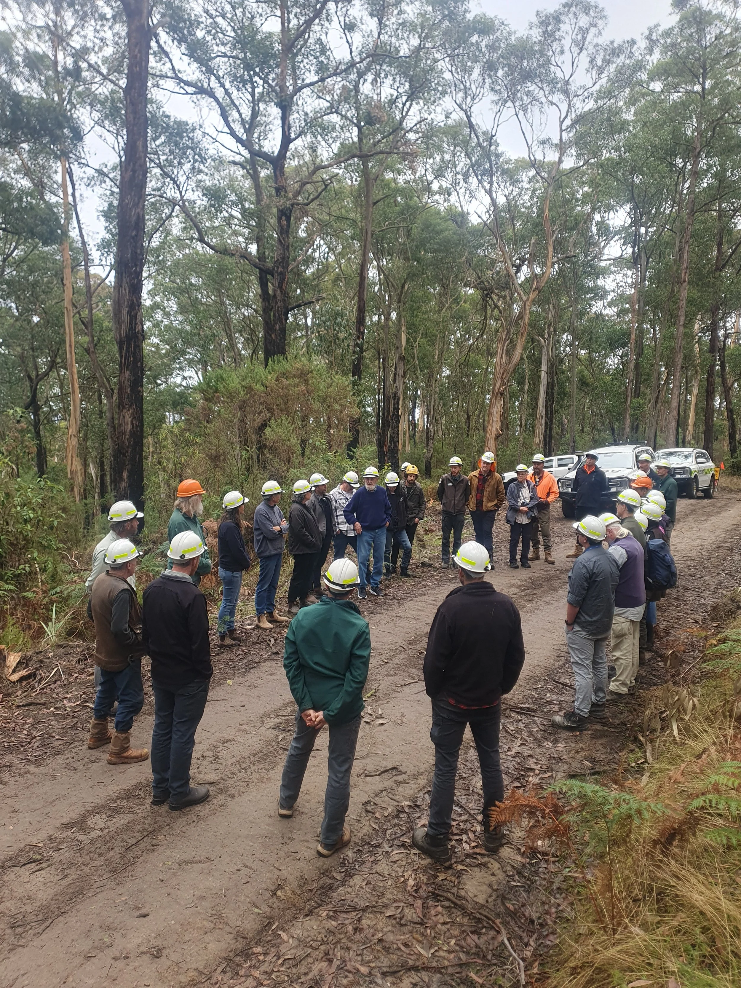 Resilient forests group_Conservation Ecology Centre.jpg