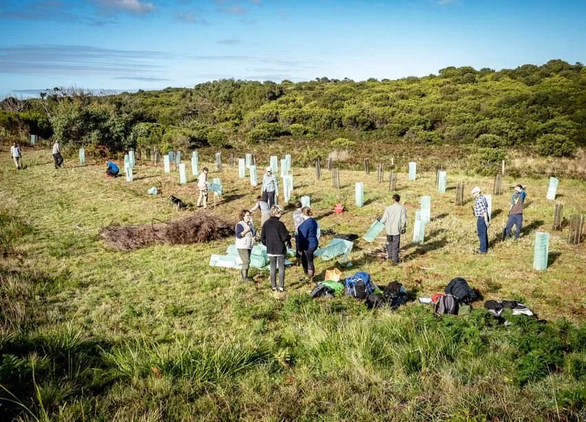 Big Otway Tree Planting_Conservation Ecology Centre.JPG