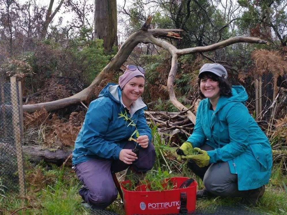 Big Otway Tree Planting_Conservation Ecology Centre.jpg
